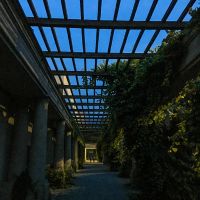 ΠΕΡΓΚΟΛΕΣ ΚΛΑΣΙΚΕΣ 2